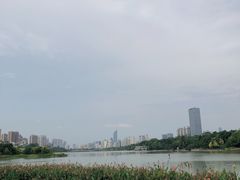 -南宁南湖公园