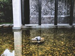 -法云安缦酒店