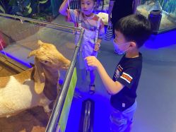 -未来动物城动物主题公园(大悦城店)