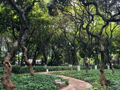 -黄埔荔枝公园