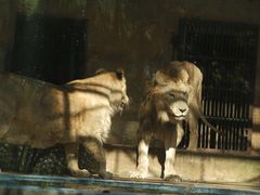 -柳州市动物园