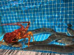 -佬太公海鸭·海鲜大排档(上海总店)
