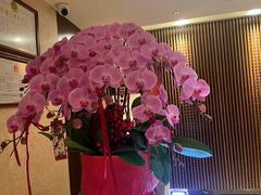 -手佳·水疗汇(嘉益店)