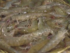 -马哥孛罗咖啡厅·Cafe Marco (厦门马哥孛罗东方大酒店)