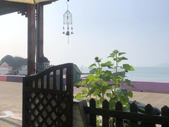-枸杞岛