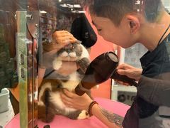 -FAELING PETS美天灵宠物(合生汇店)