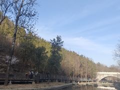 -白水寺森林公园