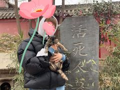 -活死人墓