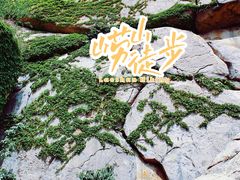 -崂山仰口游览区
