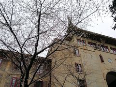 -武汉大学-樱园