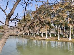 -南北湖风景区