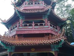 -神光山国家森林公园