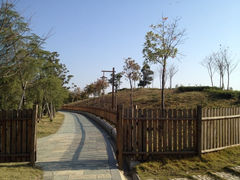 -洪湖悦兮半岛国际温泉度假村