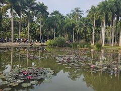 -中国科学院西双版纳热带植物园