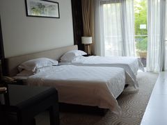 -河源万绿湖美思威尔顿酒店