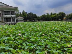 -荔湾湖公园