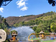-西双版纳原始森林公园
