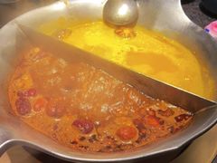 红颜花胶鸡锅-湊湊火锅·茶憩(打浦桥日月光店)