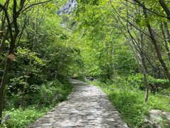 -青峰峡国家森林公园