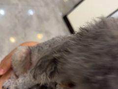 -贝康宠物医院·犬猫全科·小动物特色诊疗中心(东环路店)