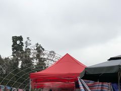 -秀丽东方