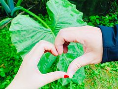 -重庆中央公园(渝北区)