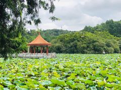 -明珠海港大酒店