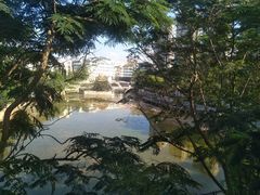 景点-横岗人民公园