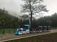 -武陵山森林公园