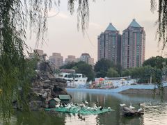 -团结湖公园