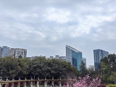 -狐尾山公园