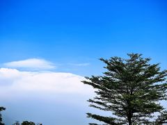 -长洲岛都市农业公园