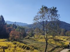-塔川景区