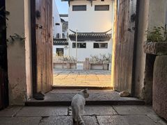 -普洱茶府(博乐广场店)