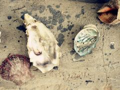 店内环境-梵几(东信·和创园店)