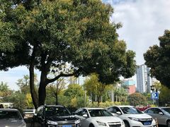 -厦门歌舞剧院