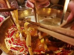 鸳鸯锅-小龙坎火锅(总店)