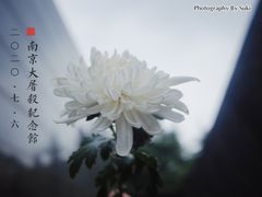 -侵华日军南京大屠杀遇难同胞纪念馆