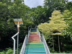 -佛山华盖山公园