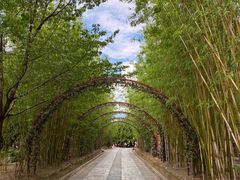 -蝴蝶泉公园
