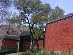 -窦大夫祠