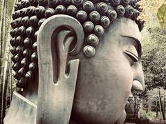 -杭州植物园