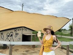 -军山湖云水间生态农业旅游景区