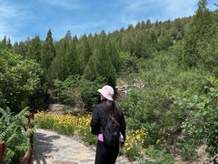 -佛慧山