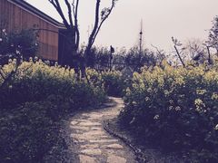 -田园东方蜜桃村的田野营地