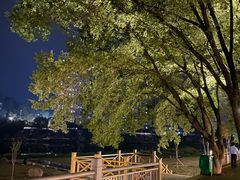 -永安龟山公园