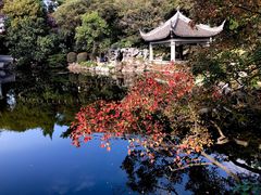 -叶家花园