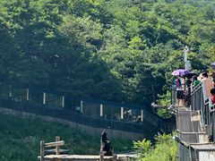 -大连森林动物园