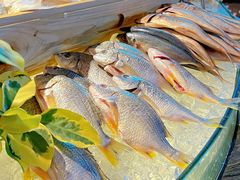 -佰园全日西餐厅-厦门佰翔软件园酒店