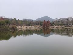 -浙江农林大学(东湖校区)